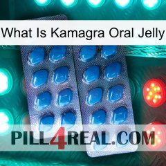 What Is Kamagra Oral Jelly viagra2